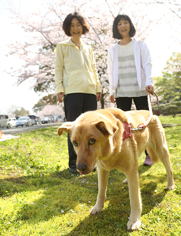 熊本　家族　ペット　桜　ロケーション